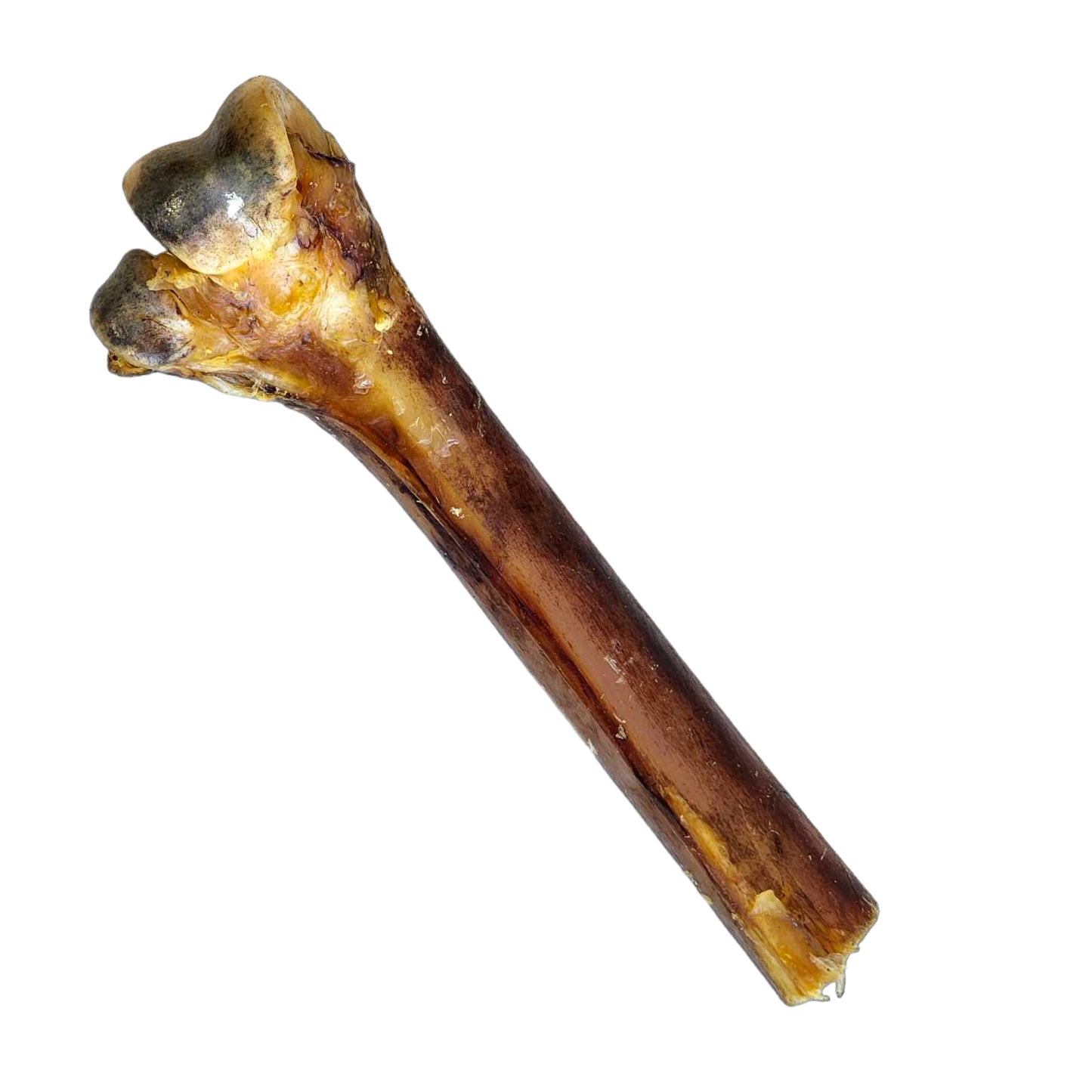 Savannah Ostrich Cane, 10 oz
