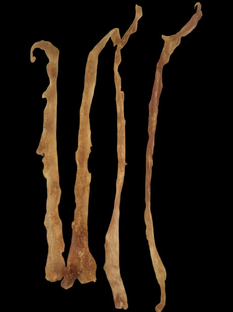 Turkey Tendons - individually sold - 50 Minimum purchase
