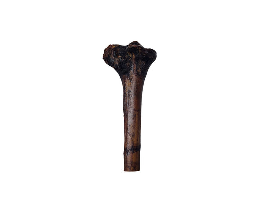 Ostrich Cave Man Bone