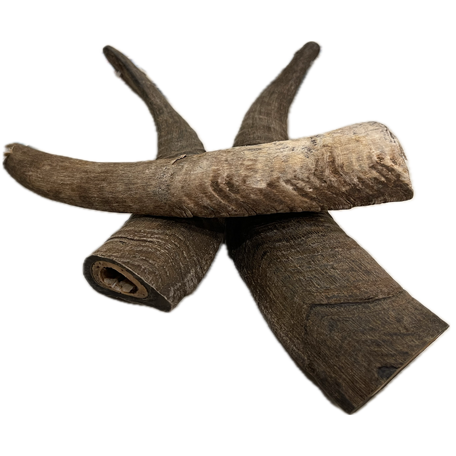 Goat Horn - Large