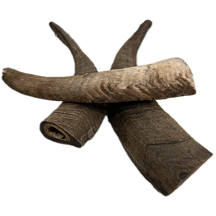 Goat Horn - Small