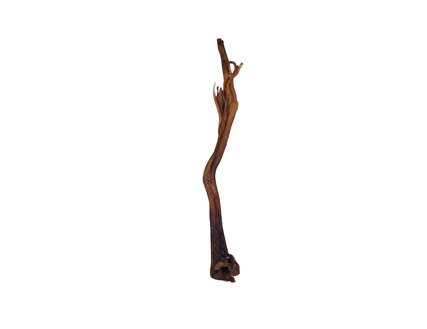 Ostrich Long Tendon
