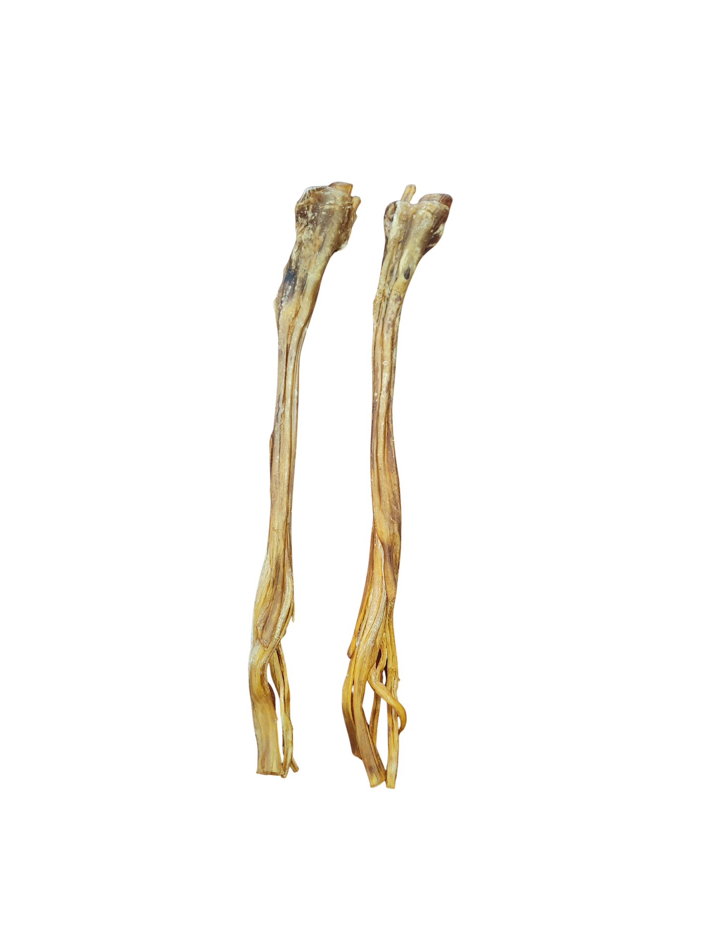 Fetchin Brands Ostrich Long Tendon Thick