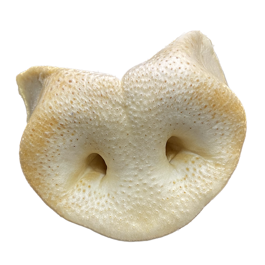 Pork Snout Puffed
