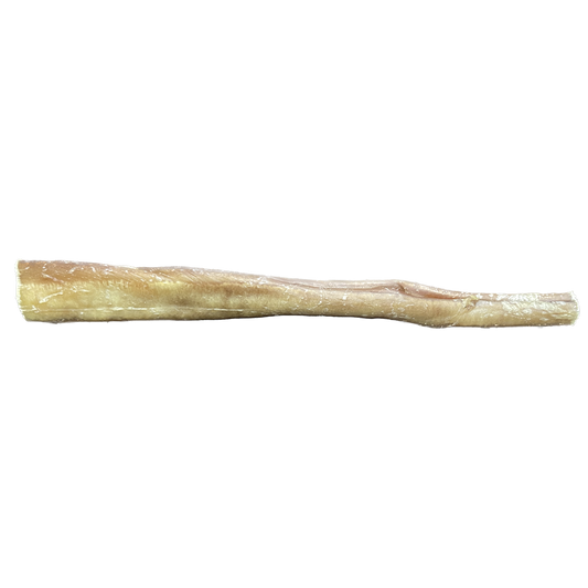 Jumbo Bully Stick, 10”-12” 81 - 90g