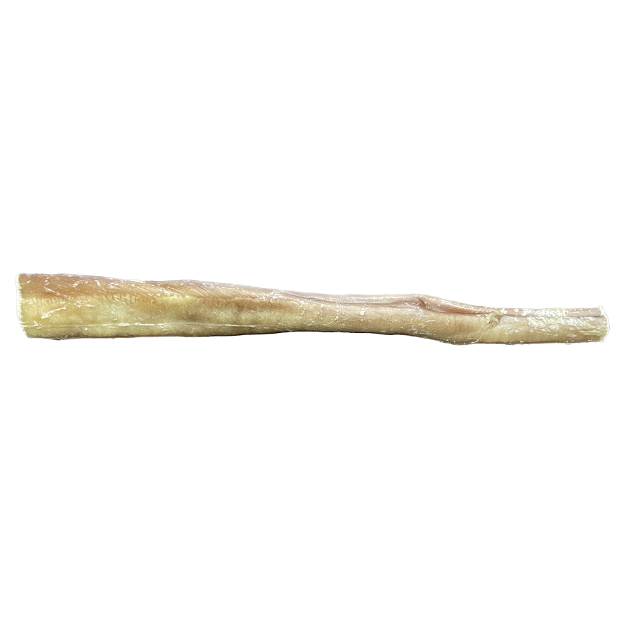 Jumbo Bully Stick, 10”-12” 81 - 90g