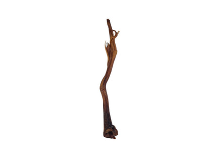 Ostrich Long Tendon