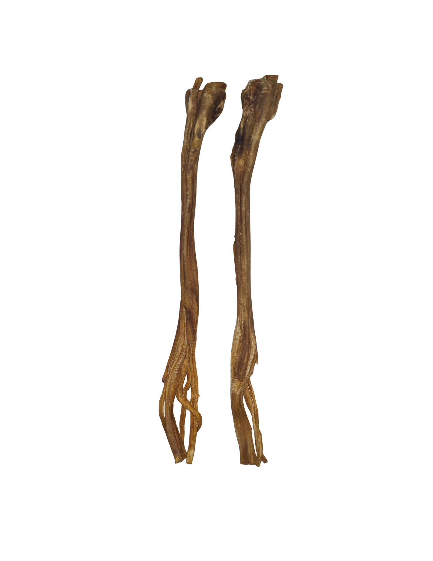 Fetchin Brands Ostrich Long Tendon Thick