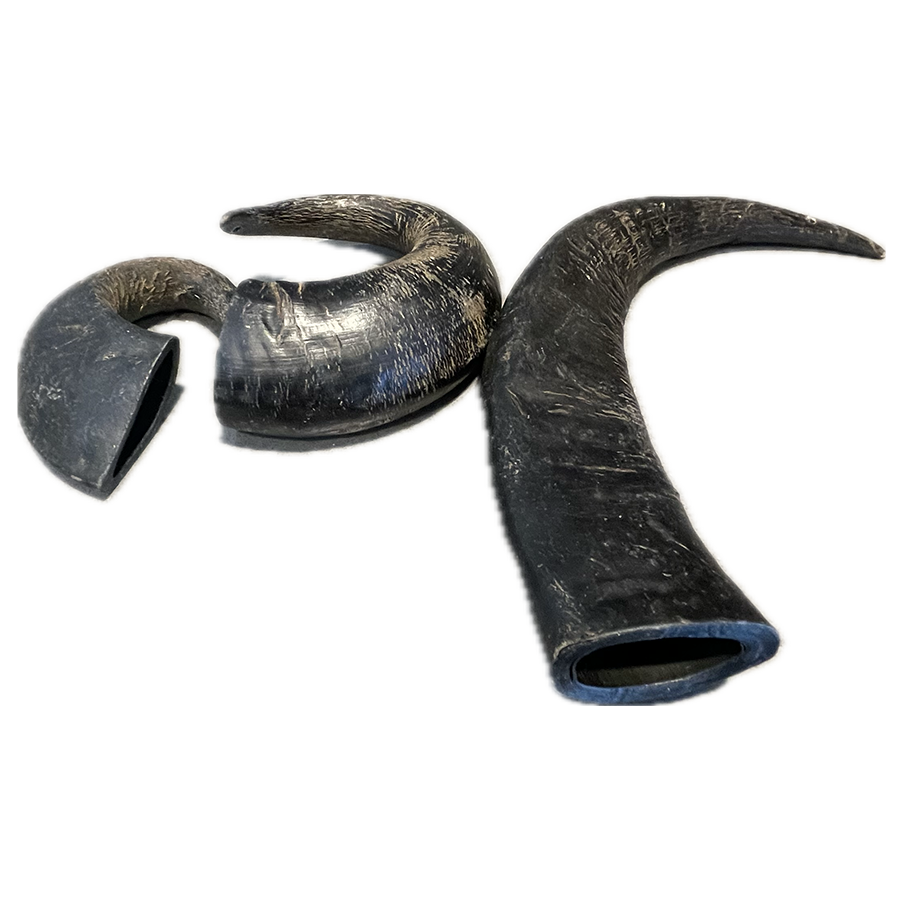 Water Buffalo Horn - Large