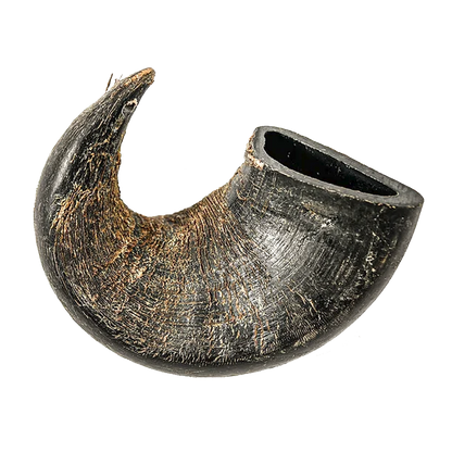 Water Buffalo Horn - Medium