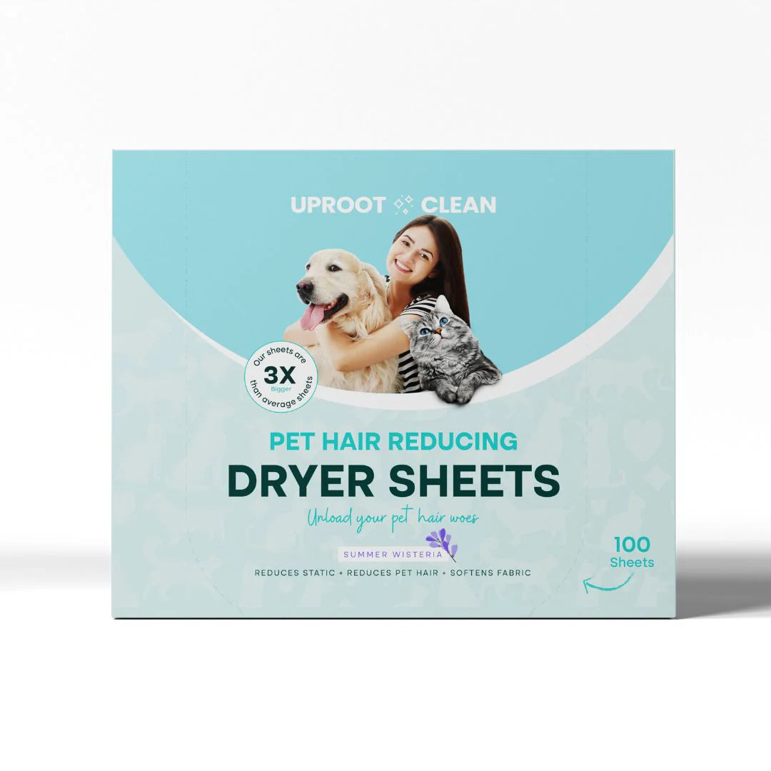 Dryer Sheets (100ct)