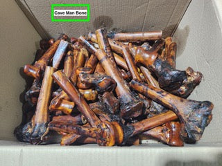 Ostrich Cave Man Bone